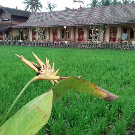 Hotel Rice Padi Artha Ubud Zewnętrze zdjęcie