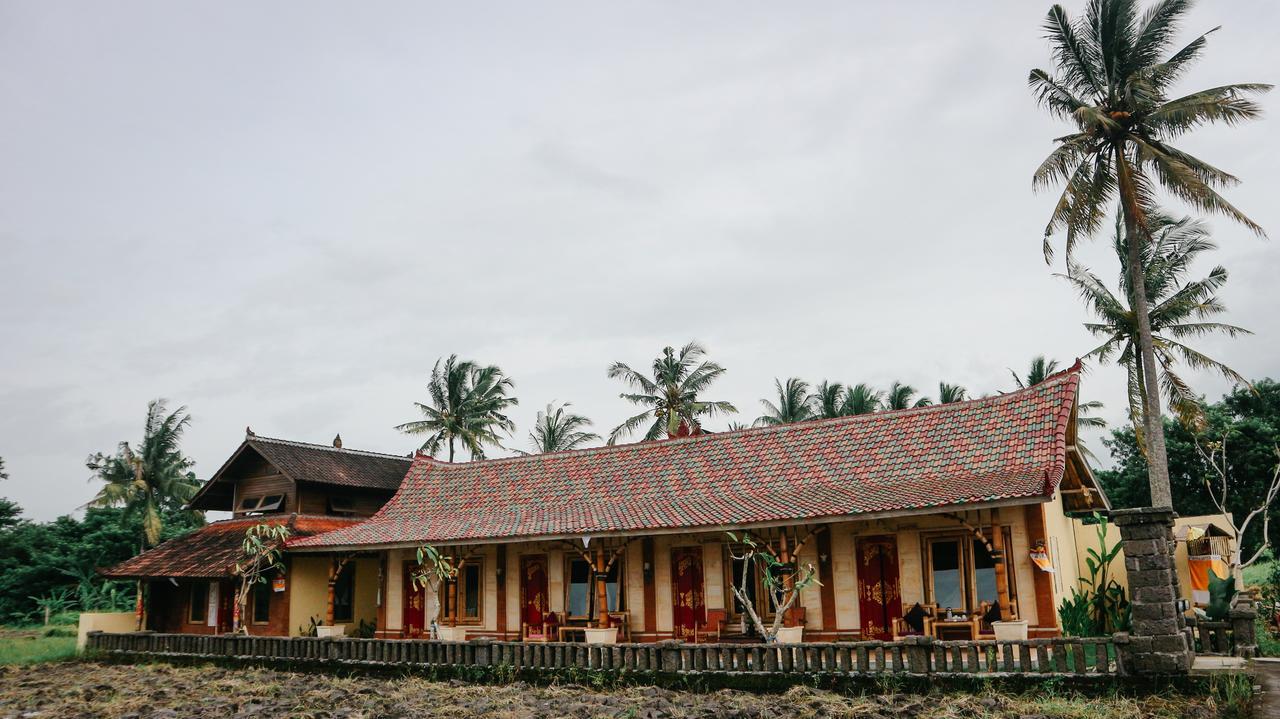 Hotel Rice Padi Artha Ubud Zewnętrze zdjęcie