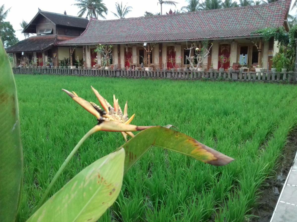 Hotel Rice Padi Artha Ubud Zewnętrze zdjęcie